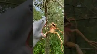 SHARK PUPPET MEETS ALIEN CREATURE