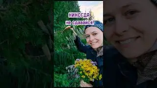 никогда не сдавайся! #кристинали #несдавайся #преодолениетрудностей #психологияуспеха #явсемогу