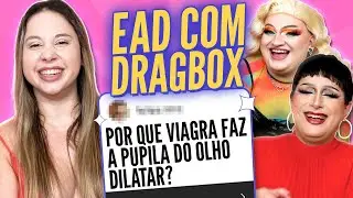 Perguntas de conhecimentos gerais com 