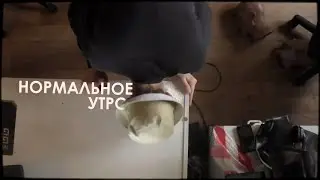 НОРМАЛЬНОЕ УТРО