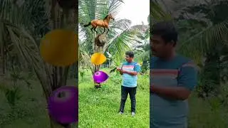 Animal ballon vfx magic|vfx effect|visual effect| blender vfx|vfx green screen effect|,