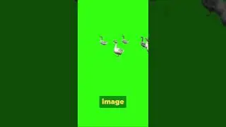 Mind Blowing illusions #shorts #mindblowing #trending #knwoledge #entertainment #facts #illusion
