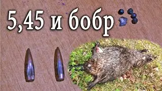 Карабин Сайга 5,45 и дробь на бобра