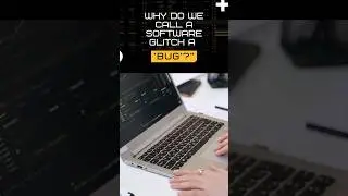 Why Do We Call Software Glitches 'Bugs'  🐞 ? | SDET UNICORNS