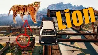 Lion in pubg & Funny & WTF moments