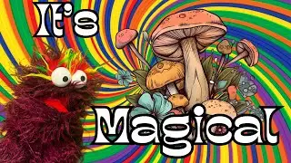 Mushroom Magic