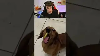 Solo Es Una Broma 