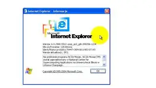 Windows XP Professional N (Polish) with Service Pack 3 in VMWare Player!