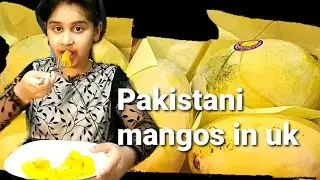 Pakistani mangoes 🥭in Uk 🇬🇧