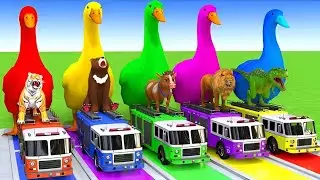 5 Giant Duck Cartoon,Cow,Elephant,Tiger,Lion,Dinosaur,Paint Wild Animals Crossing Fountain Animation