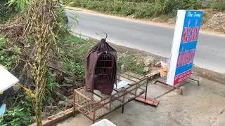 Môi Trường Mới ....! Cố gắng ra nhiều Video cho các bác .