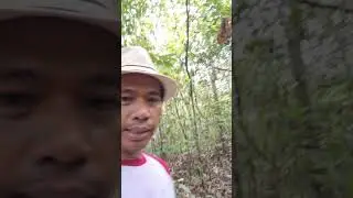 Tracking di Perbatasan Desa