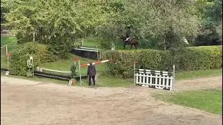 Obora's Allison - 1. místo Pražské skokové derby