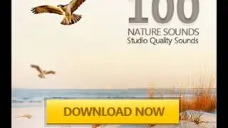 Nature Sounds 1