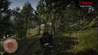 Red Dead Redemption 2  Задание 