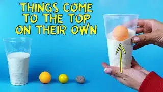 Science experiment with sand | What things will come to the top?