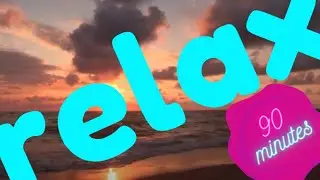 90 Minutes of Motivational Music, Relax Music | Zoya Shares This