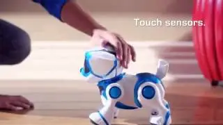 ROBOPIESEK TEKSTA MegaPrezent.pl