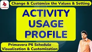 How To Change Customize the Values and Setting Activity Usage Profile  Primavera P6 | 