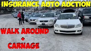 CHEAP AUCTION DEALS!? INSURANCE AUTO AUCTION + WALK AROUND + CARNAGE