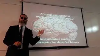 Por que o tratamento do TDAH envolve remédios psicoestimulantes?