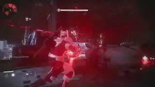 Solo HM Vosik - 2 Damage Phases in 1 Run