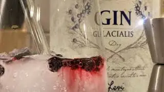 Italienischer GIN mit Heidelbeeren