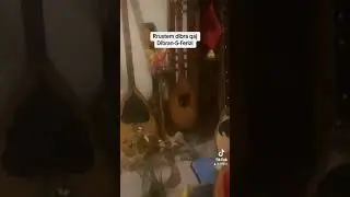 Rrustem Dibra-Saliu e Ferizi