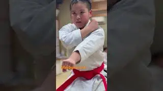 Ennnnnnnnnpi#karate #kata #空手