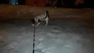 Покатушки с горочки!)