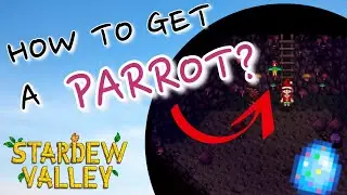 How to get a parrot in Stardew Valley  [Parrot Egg] | Stardew Valley