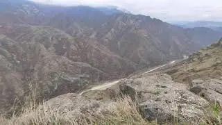 Алаверды красоты