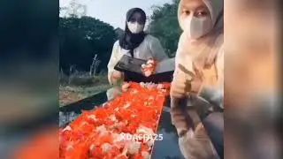 GA PUNYA BAPAK NIH BOS, SENGGOL DONG | TIKTOK MEMES
