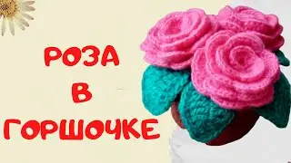 МК Розы в горшочке / Подарок на 8 марта / Вяжем крючком цветы