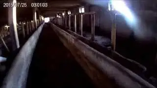 Поездка в Швецово. Заброшенные дома, заправка.