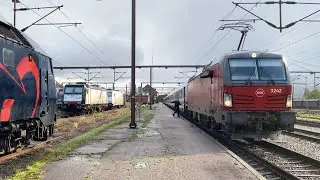 DSB EB 3242 og EB 3206 med IC1 vogne i Padborg 15/10 2023
