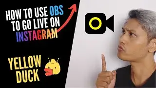 How to use OBS to go LIVE on Instagram | Yellow Duck Tutorial