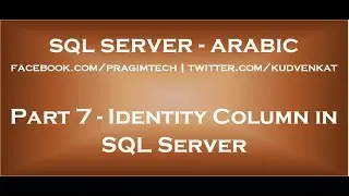 Identity column in SQL Server in arabic