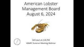 American Lobster Board Proceedings August 2024