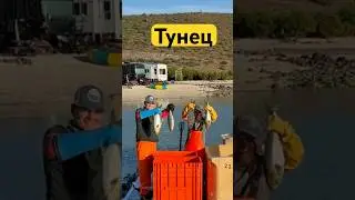 Пошел на рыбалку. И тут такое #рыбалкамексика #рыбалкатунец