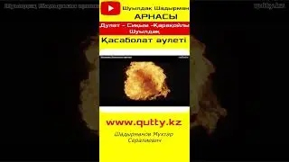 Мына өмірдегі сезген нәрсеңнің барлығы, сигнал ғана 