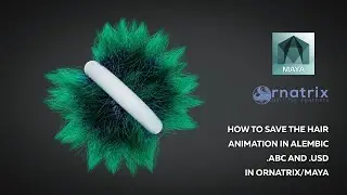 How to save the hair animation in Alembic .ABC and .USD in Ornatrix/Maya