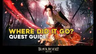 Where did it go?  ||  Black Desert Online  || Quest Guide
