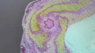 Mayra's  Bath Bomb Lavender N Sex Bomb & Me ranting about my own mistakes