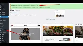 How to use the Wordpress Customizer Importer plugin for Maag and Newsreader Wordpress themes