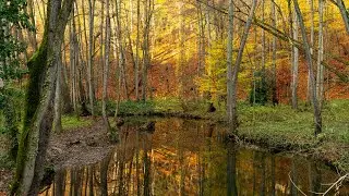 Die Düssel   Von der Quelle bis nach Schöller