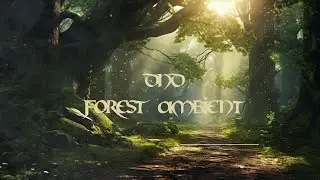 DnD Calm Fantasy Forest Music for Adventure and Exploration | 1 Hour Mix for Dungeons & Dragons