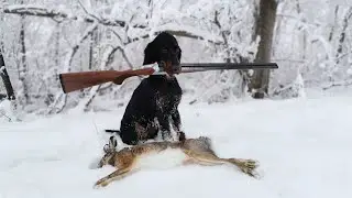 Hare Hunting with a Scottish Setter! Season 2020...