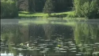 Учение А. Н. Петрова
