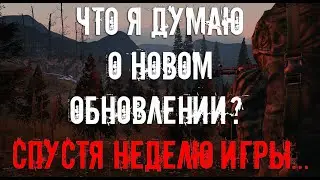 Хорошее обновление и фарм интересный! Stalker online (Stay out)